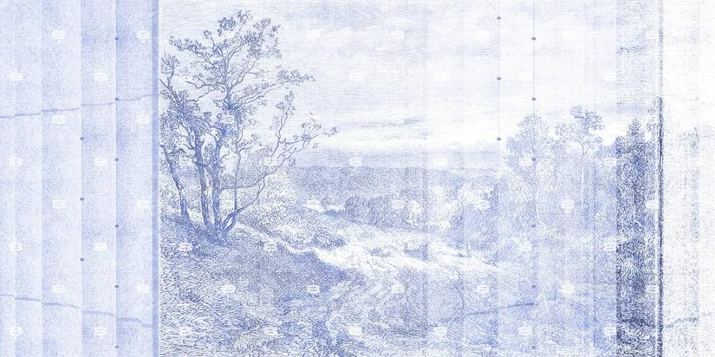 Un paysage s'étendant lentement le long d'un chemin bordé d'arbres séculaires en chêne, évoquant une gravure vintage en nuances de blanc et de bleu.